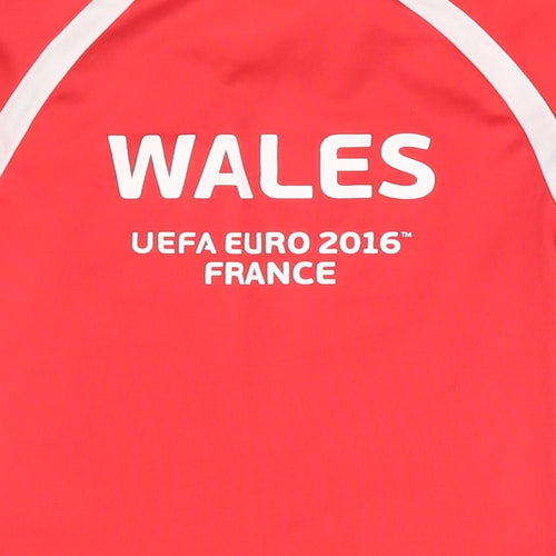 Euro 2016 Boys Red   Basic T-Shirt Size 3-4 Years  - wales