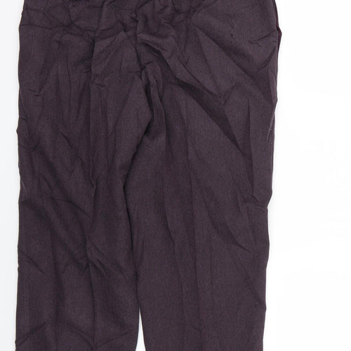 Classics Womens Purple   Trousers  Size 14 L24 in