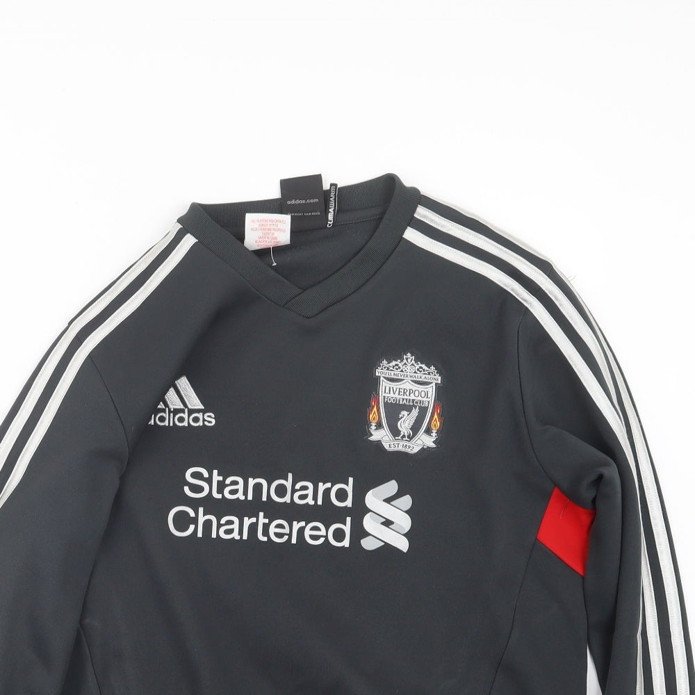 adidas Boys Grey   Basic T-Shirt Size 13-14 Years  - Liverpool FC