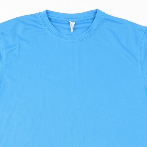 Preworn Mens Blue    T-Shirt Size M