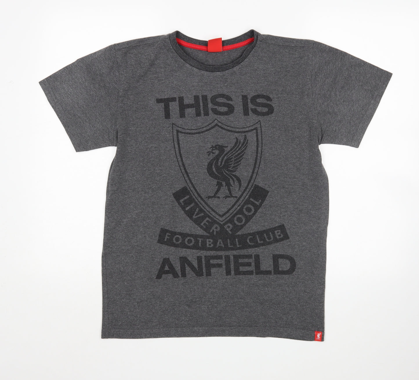 Liverpool FC Mens Grey    T-Shirt Size S