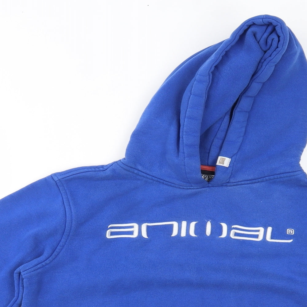 Animal Boys Blue   Pullover Hoodie Size 11-12 Years