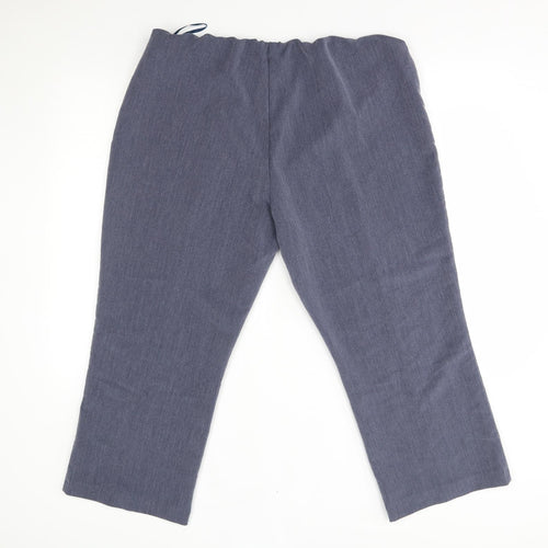 Classic Womens Blue   Trousers  Size 18 L24 in