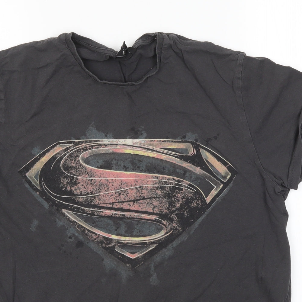 Cedar Wood State Mens Grey    T-Shirt Size M  - Man of Steel