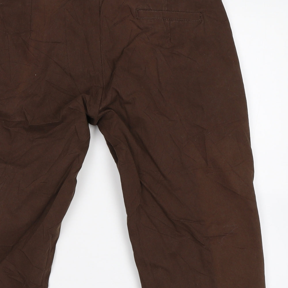 Zoe Womens Brown   Bermuda Shorts Size 12