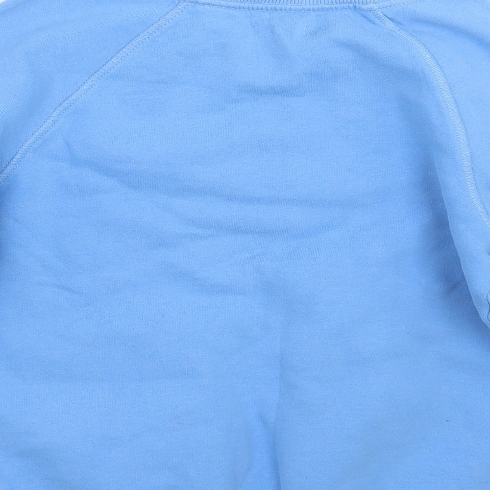NEXT Boys Blue   Pullover Jumper Size 7 Years
