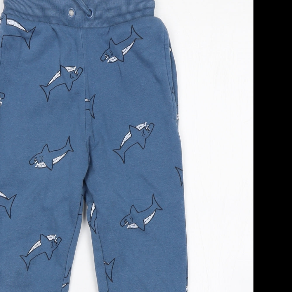 Nutmeg Boys Blue Animal Print  Sweatpants Trousers Size 3-4 Years - Shark