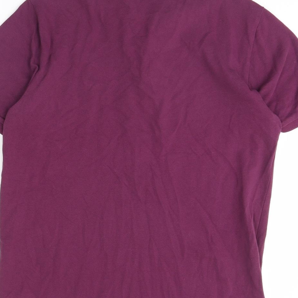 NEXT Mens Purple    Polo Size M