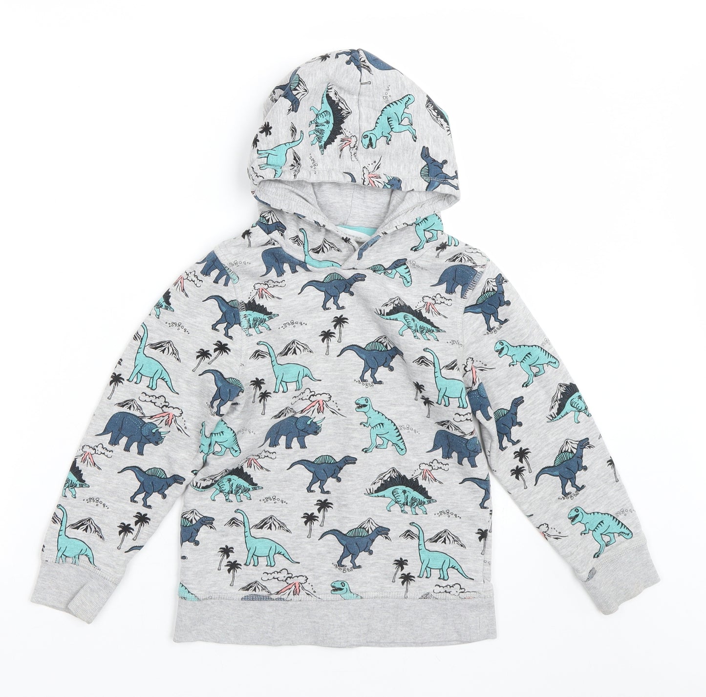 H&M Boys Grey Animal Print  Pullover Hoodie Size 6-7 Years  - dinosaurs