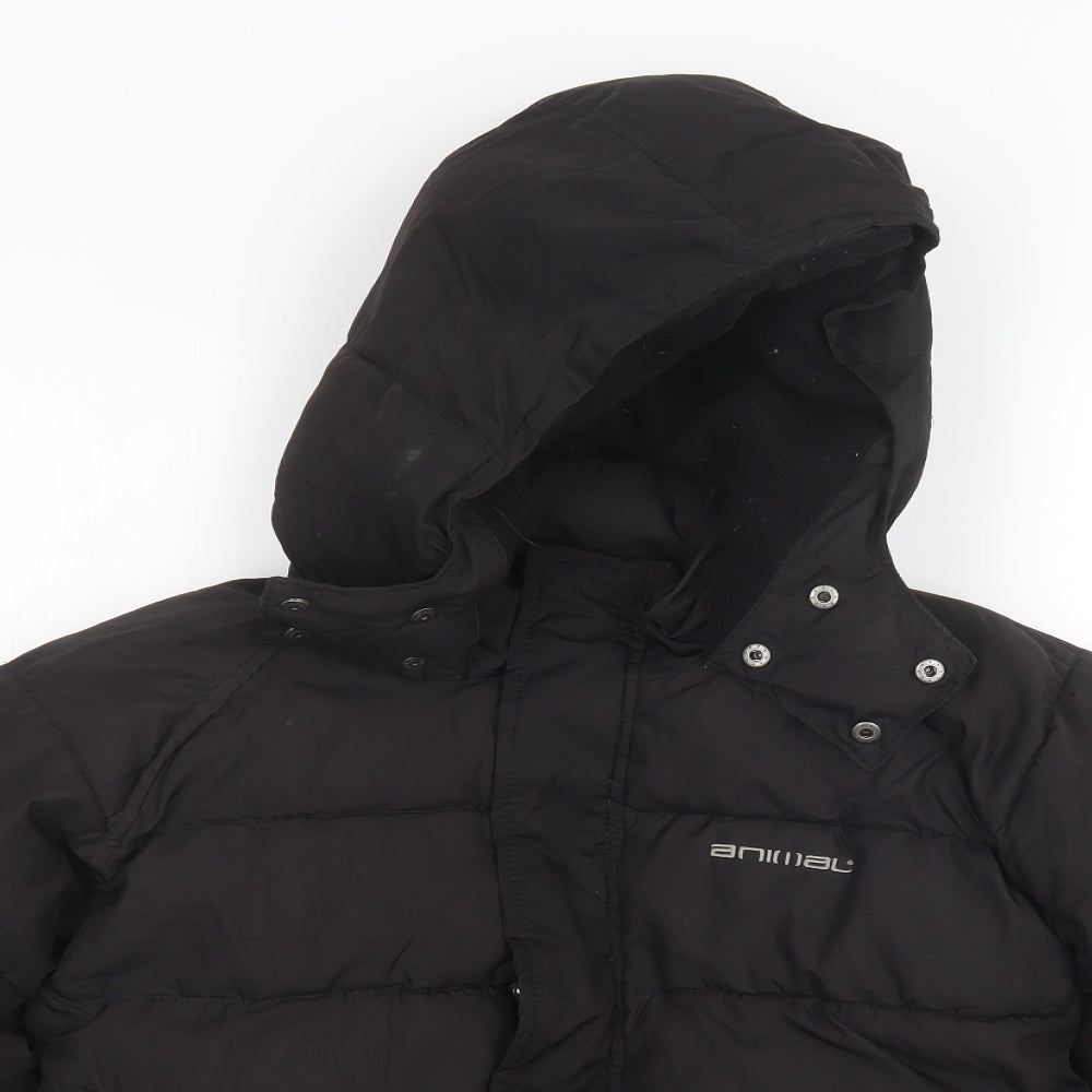 Animal Boys Black   Puffer Jacket Coat Size 9-10 Years