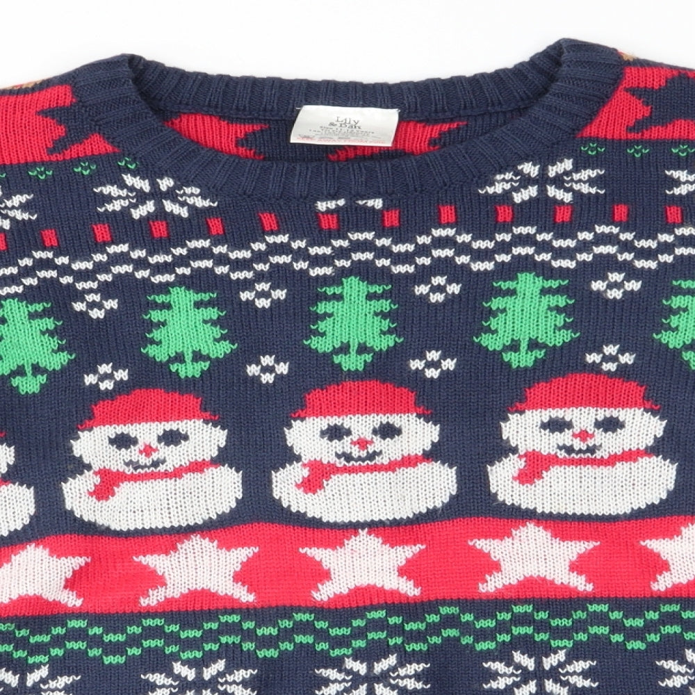 Lilly & Dan Boys Blue Animal Print  Pullover Jumper Size 11-12 Years  - Christmas Jumper
