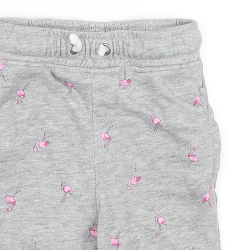 TU Boys Grey   Sweat Shorts Size 6 Years - Flamingoes