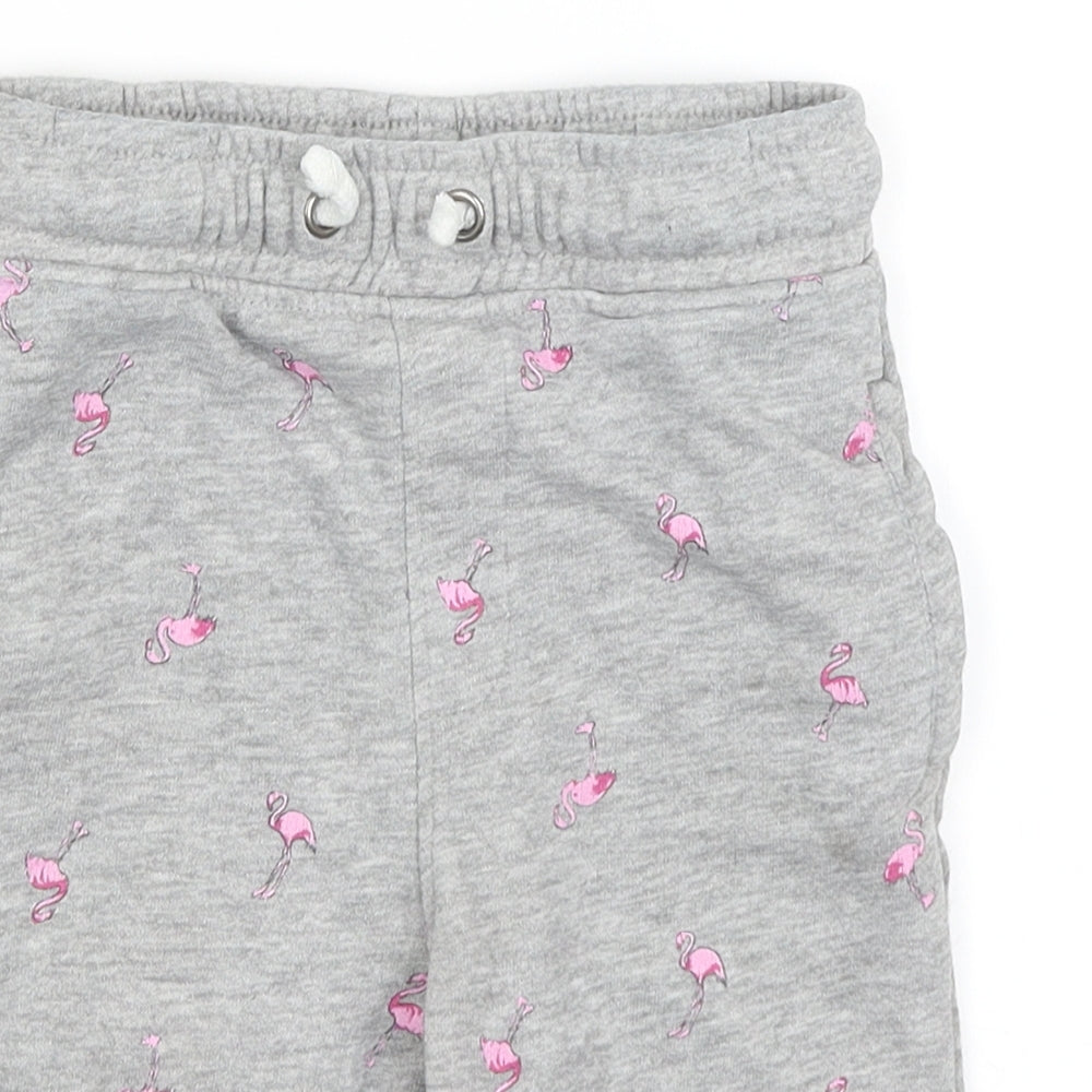 TU Boys Grey   Sweat Shorts Size 6 Years - Flamingoes