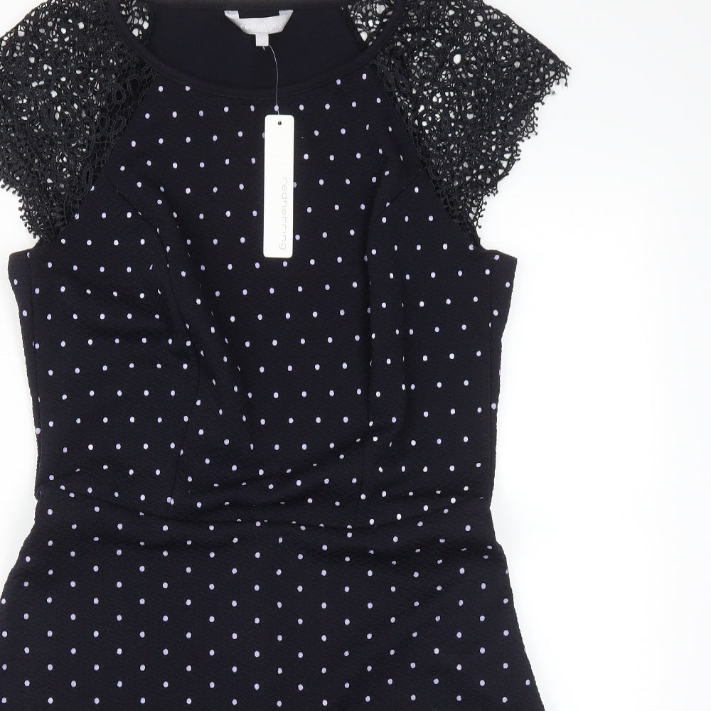 Red Herring Womens Blue Polka Dot  Fit & Flare  Size 12