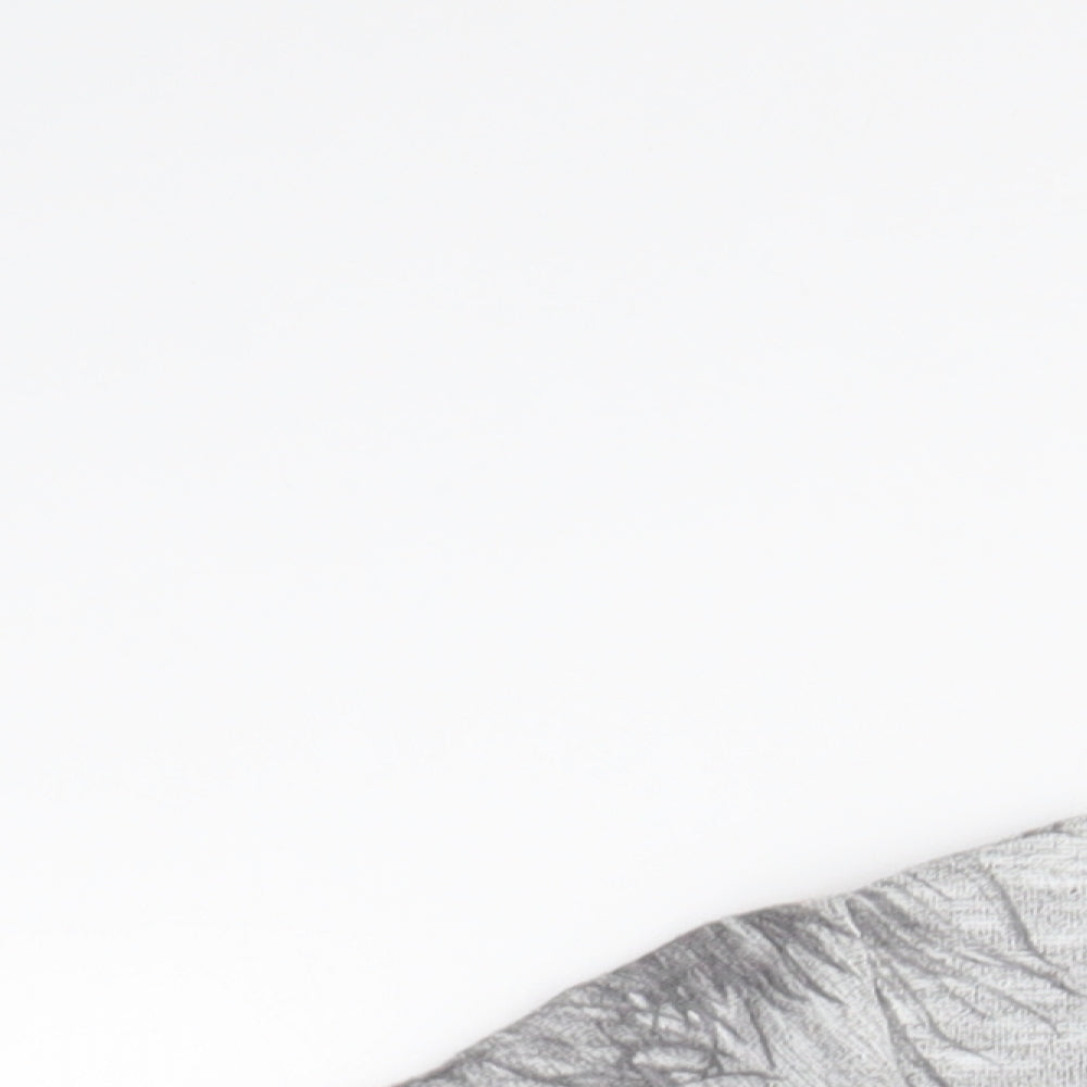 NEXT Mens Grey Floral   T-Shirt Size S