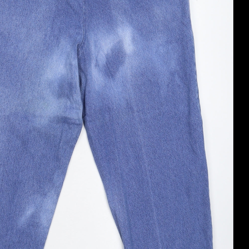 Casual Comfort Womens Blue  Denim Straight Jeans Size 32 in L25 in