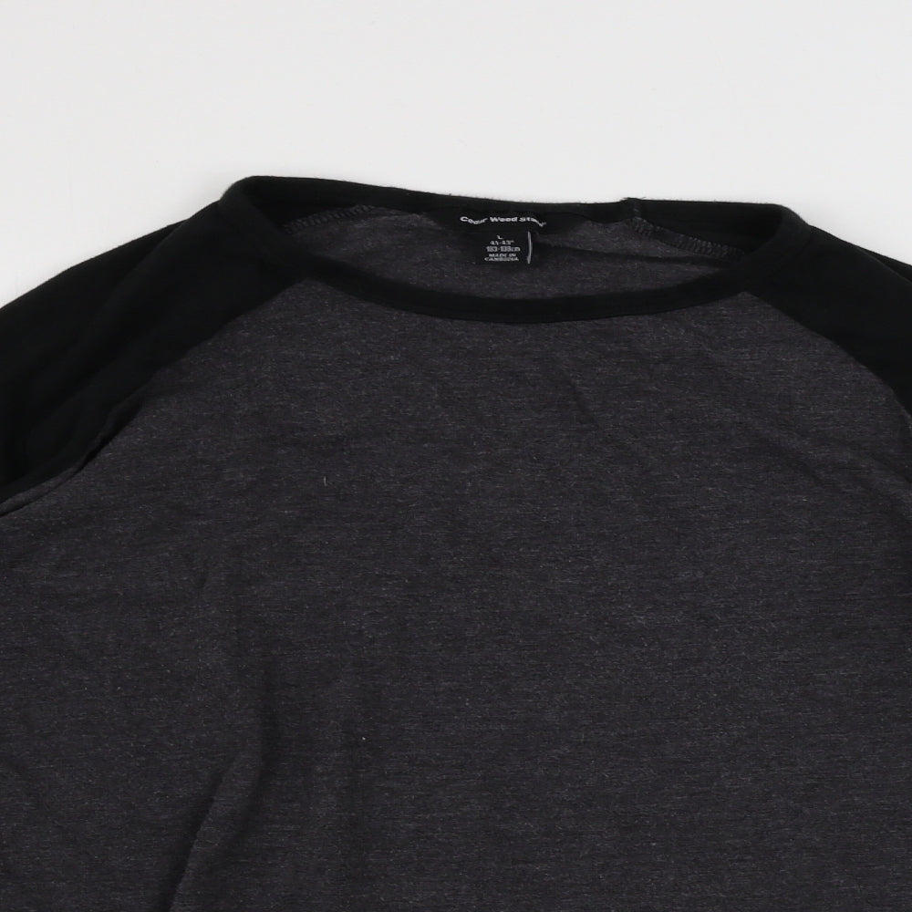 Cedar Wood State  Womens Grey   Basic T-Shirt Size L