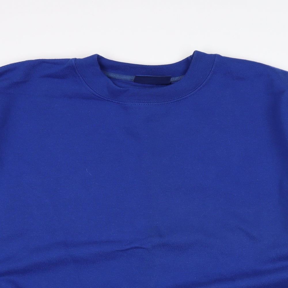 enbironne Mens Blue   Pullover Sweatshirt Size XL