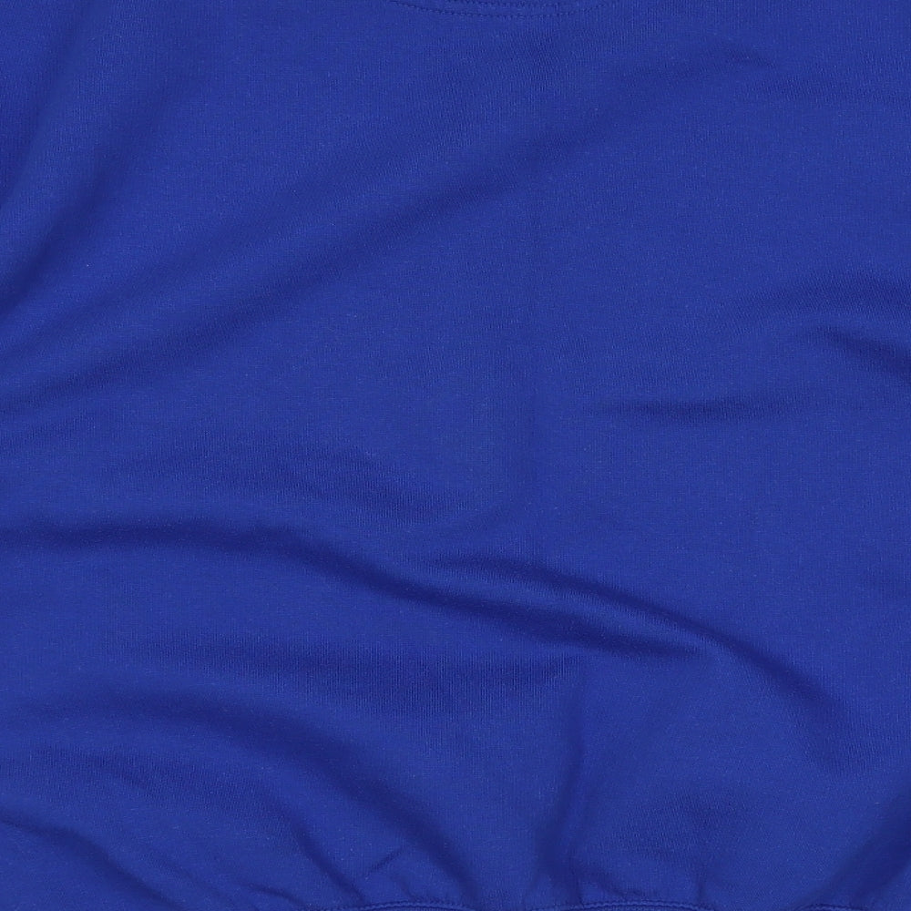 enbironne Mens Blue   Pullover Sweatshirt Size XL