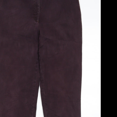 BRAX Womens Purple   Straight Jeans Size 16 L30 in