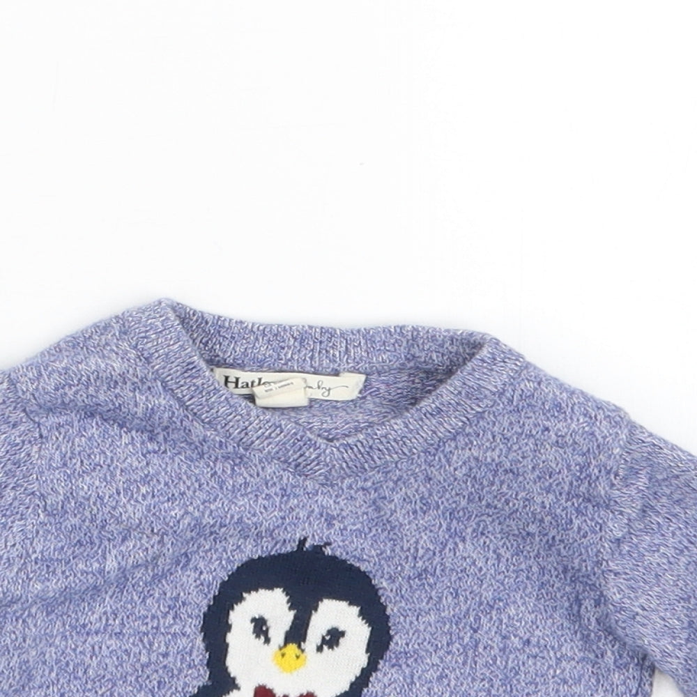 Hatley Boys Blue  Knit Pullover Jumper Size 6-9 Months