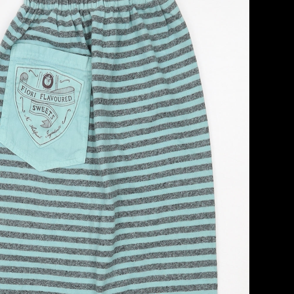 Preworn Womens Blue Striped  A-Line Skirt Size XS