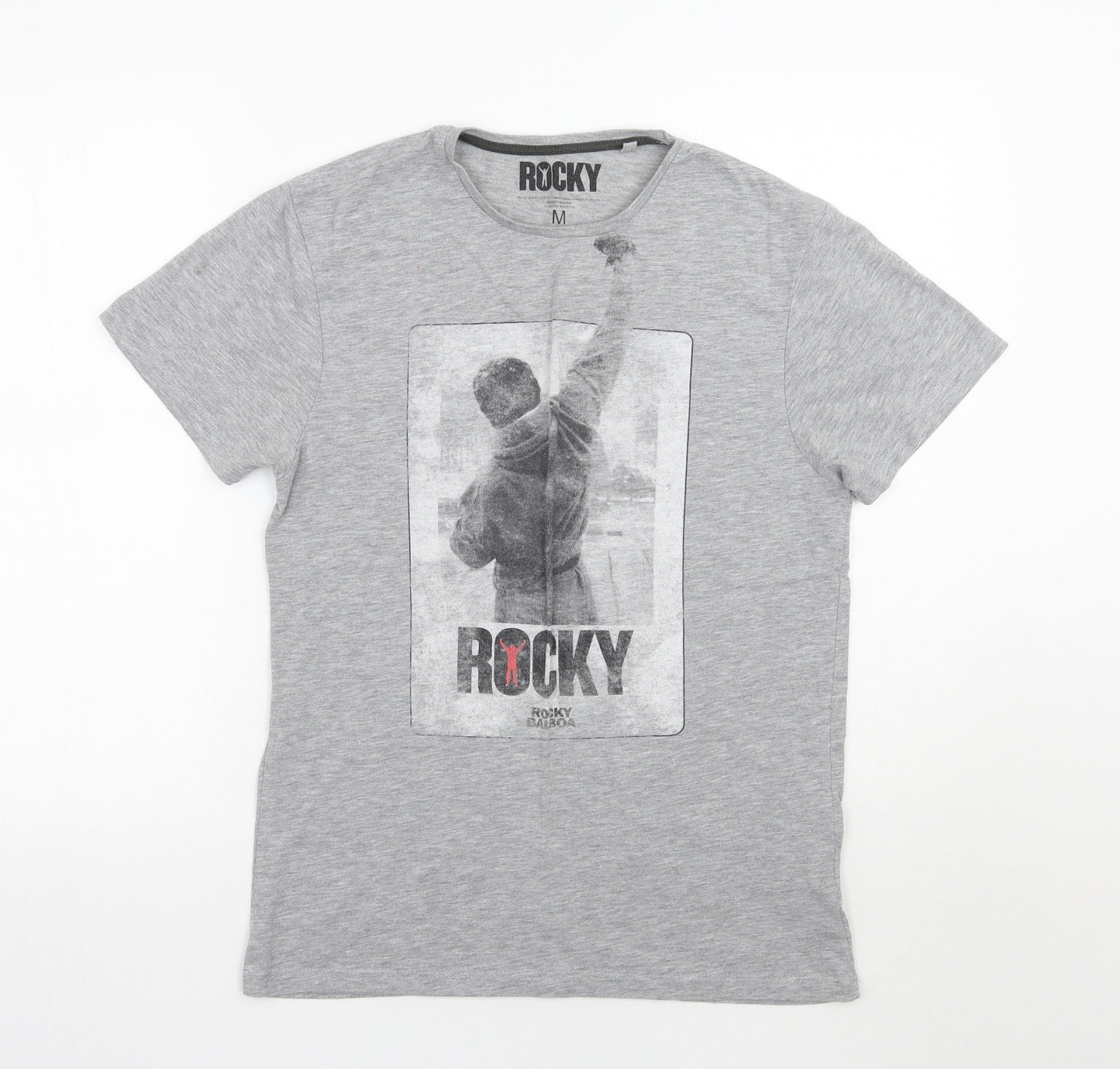 Cedar Wood State Mens Grey    T-Shirt Size M  - ROCKY