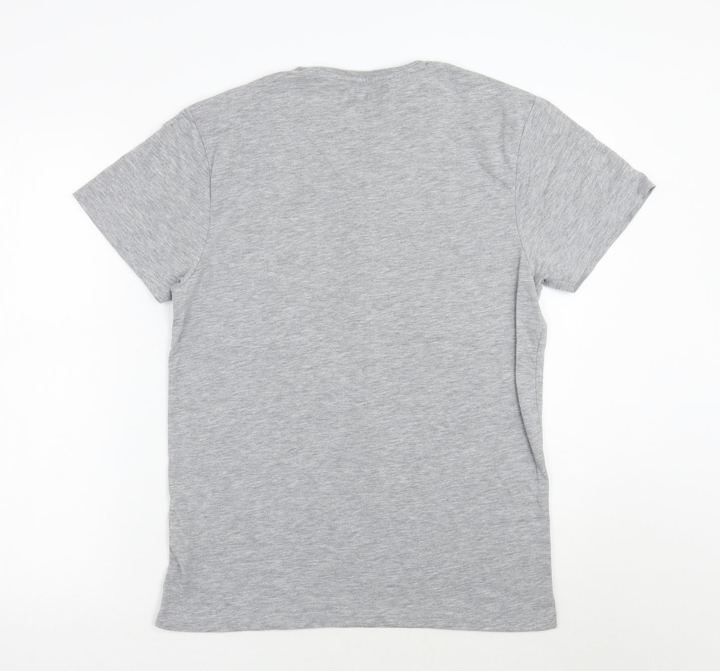 Cedar Wood State Mens Grey    T-Shirt Size M  - ROCKY