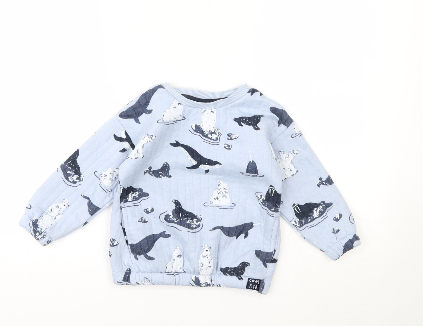 George Boys Blue Animal Print  Pullover Jumper Size 2-3 Years