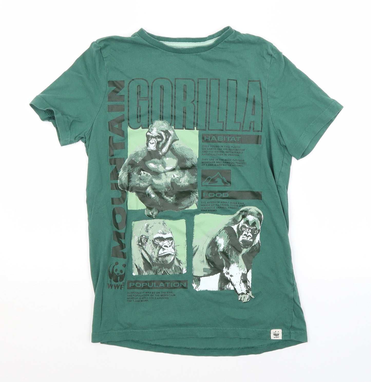 F&F Boys Green   Basic T-Shirt Size 11-12 Years  - GORILLA