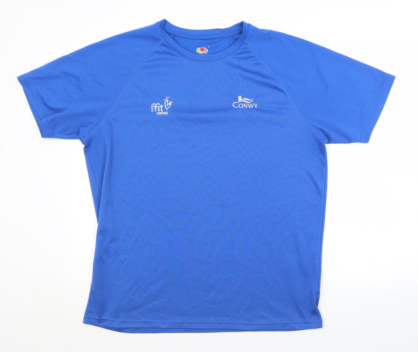 Preworn Mens Blue   Jersey Casual Size L  - CONWY
