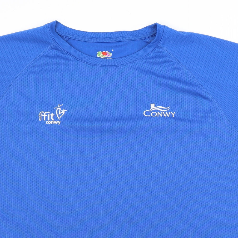 Preworn Mens Blue   Jersey Casual Size L  - CONWY