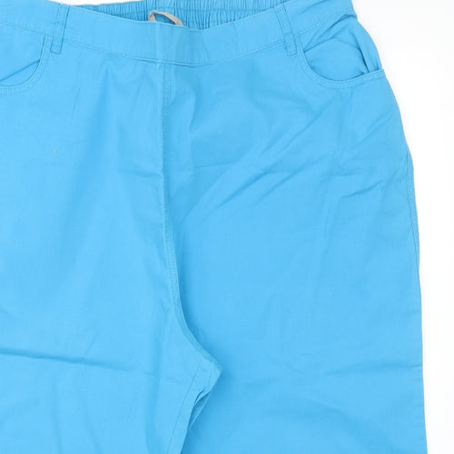 Anthology Womens Blue   Sweat Shorts Size 20