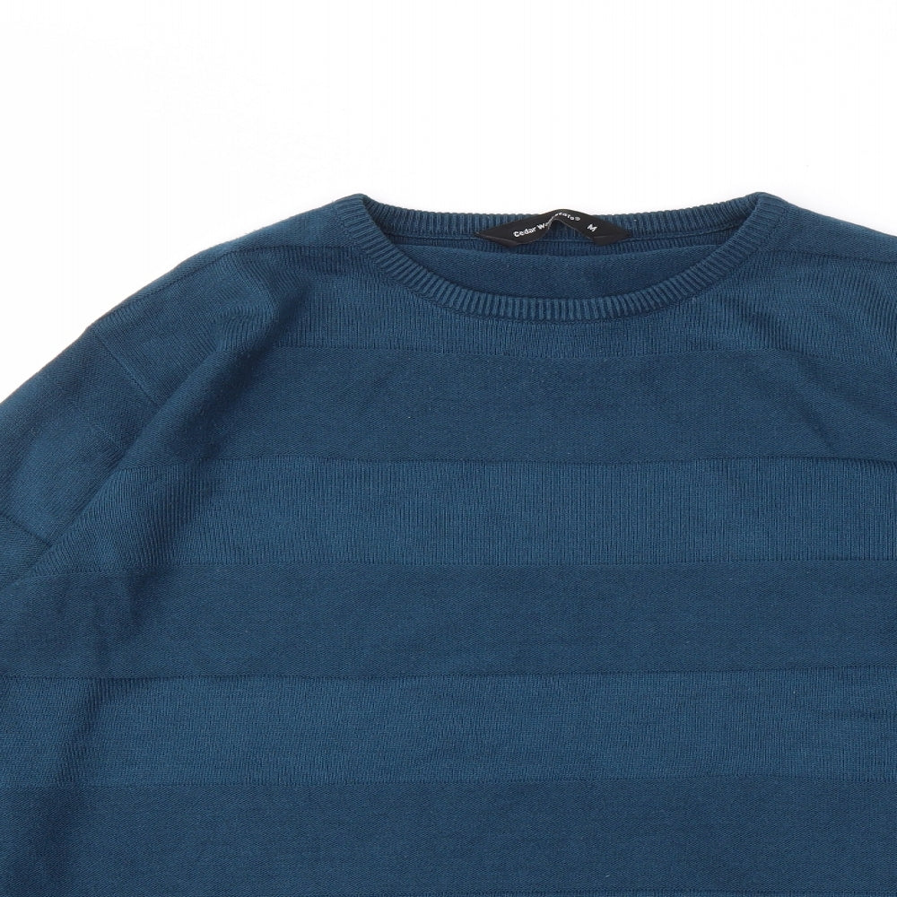 Cedar Wood State Mens Blue Striped  Pullover Sweatshirt Size M