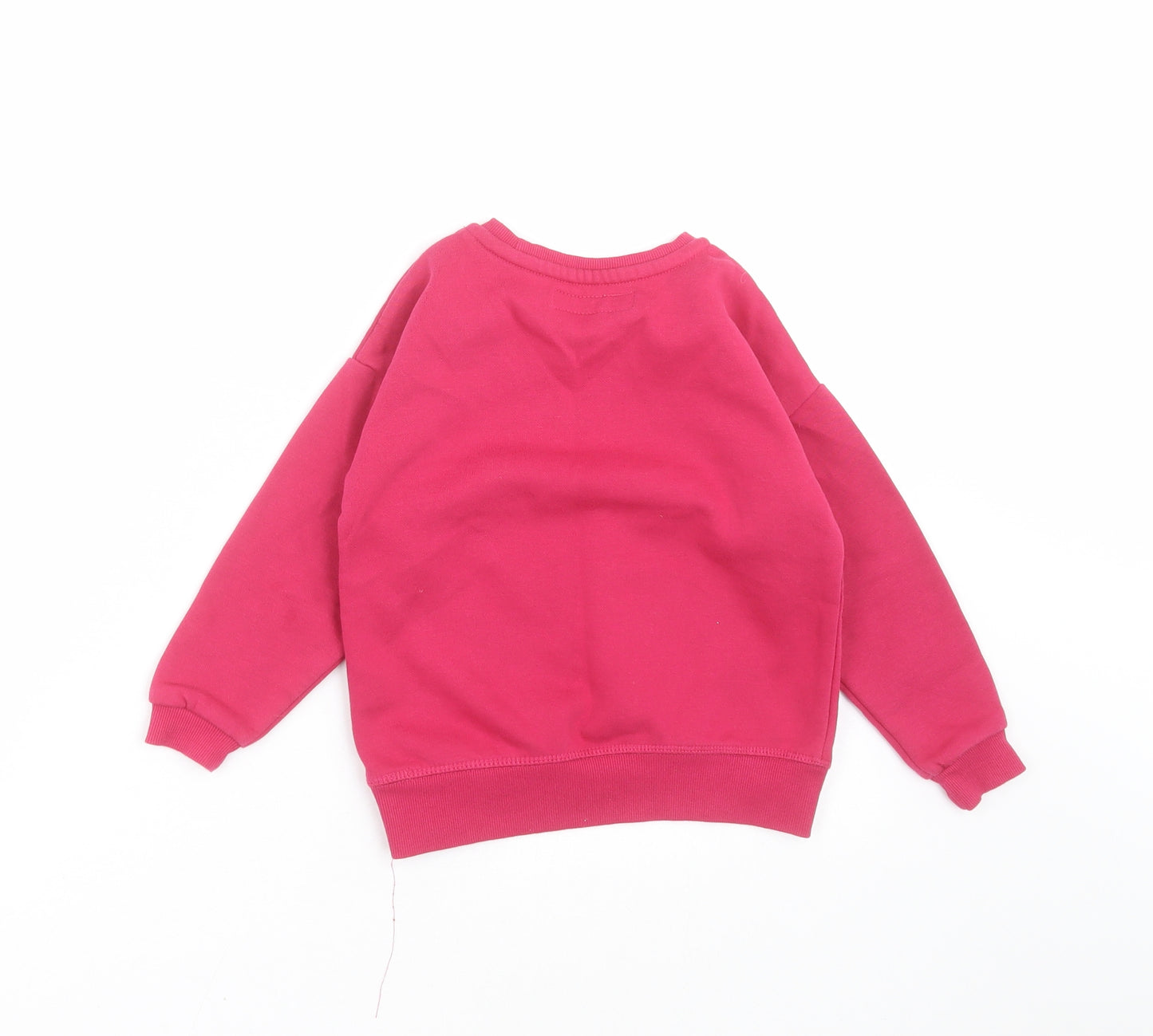 Primark Girls Pink Floral  Pullover Sweatshirt Size 4-5 Years  - Love Our Planet