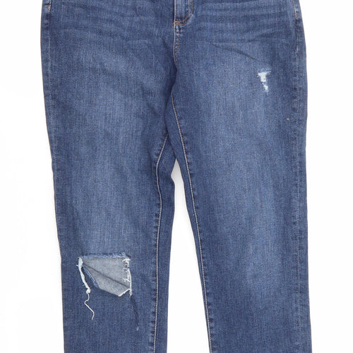Taylor by Dorothy Perkins Womens Blue  Cotton Straight Jeans Size 8 L26 in Regular
