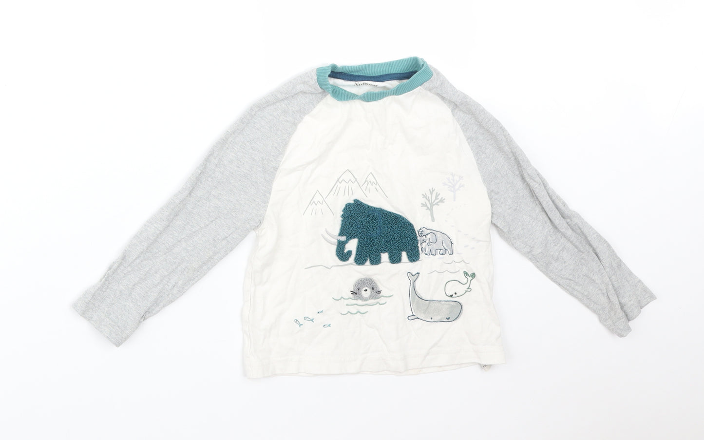 Nutmeg Boys Multicoloured Animal Print Cotton Basic T-Shirt Size 2-3 Years Round Neck