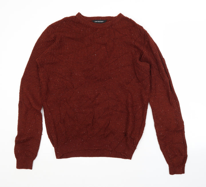 Cedar Wood State Mens Brown Crew Neck Acrylic Pullover Jumper Size S