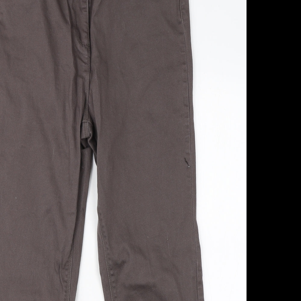 CC Womens Brown  Cotton Straight Jeans Size 18 L26 in Regular