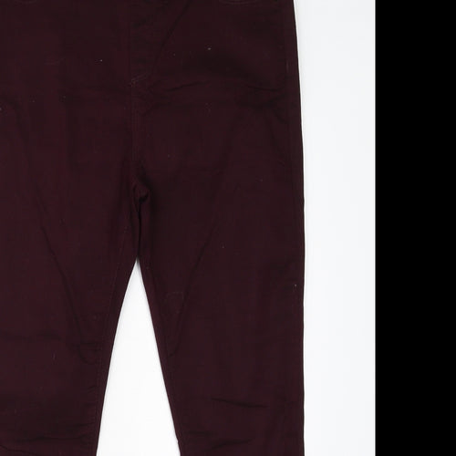Dorothy Perkins Womens Purple  Cotton Jegging Jeans Size 14 L24 in Regular