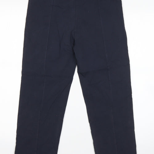 Preworn Womens Blue  Viscose Dress Pants Trousers Size L L23 in Regular