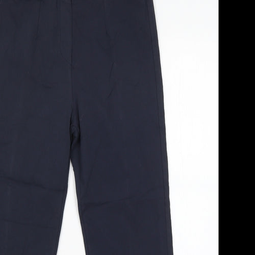 Preworn Womens Blue  Viscose Dress Pants Trousers Size L L23 in Regular
