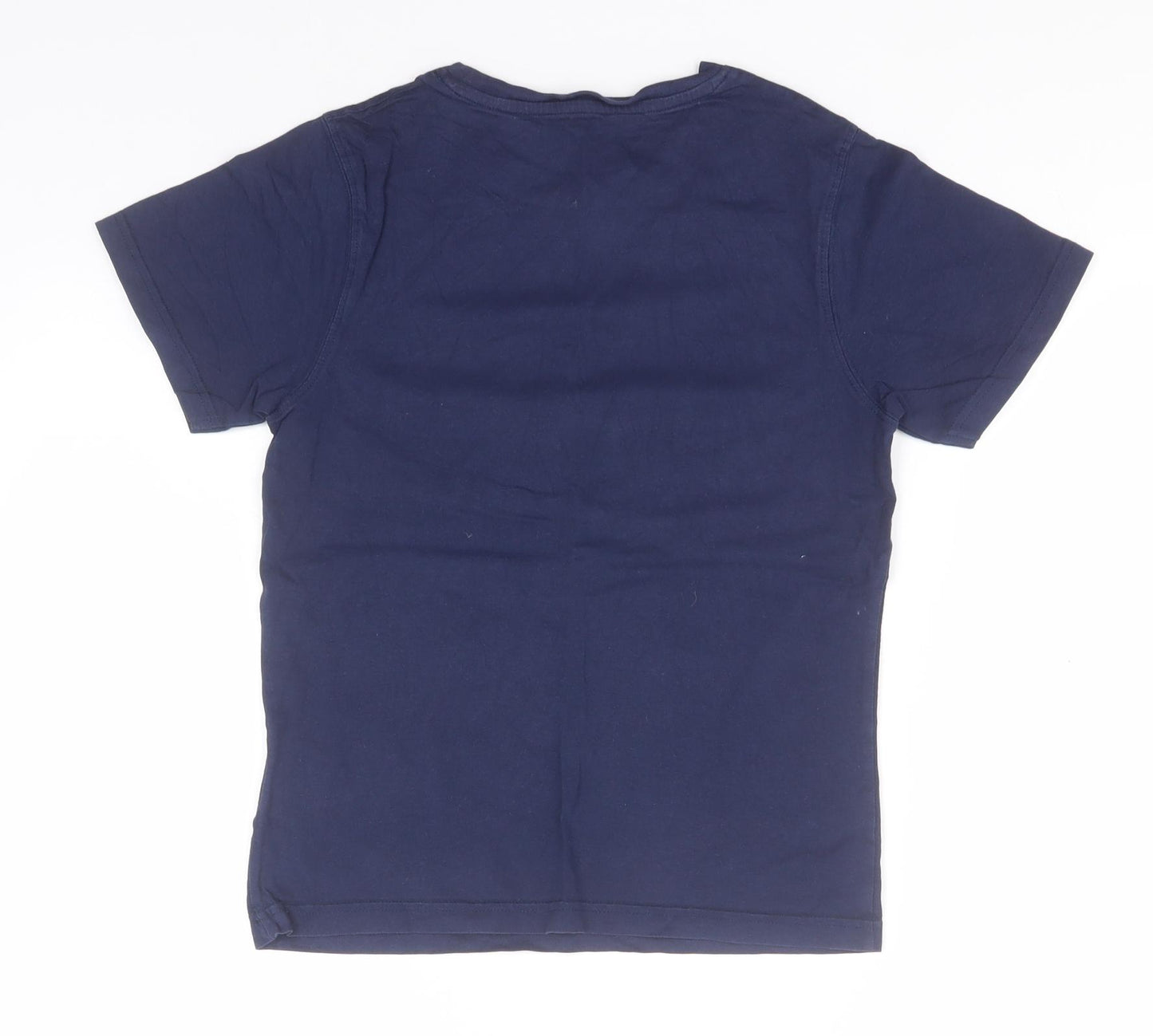 Angry Birds Boys Blue  Cotton Basic T-Shirt Size 9-10 Years Round Neck  - Angry Birds