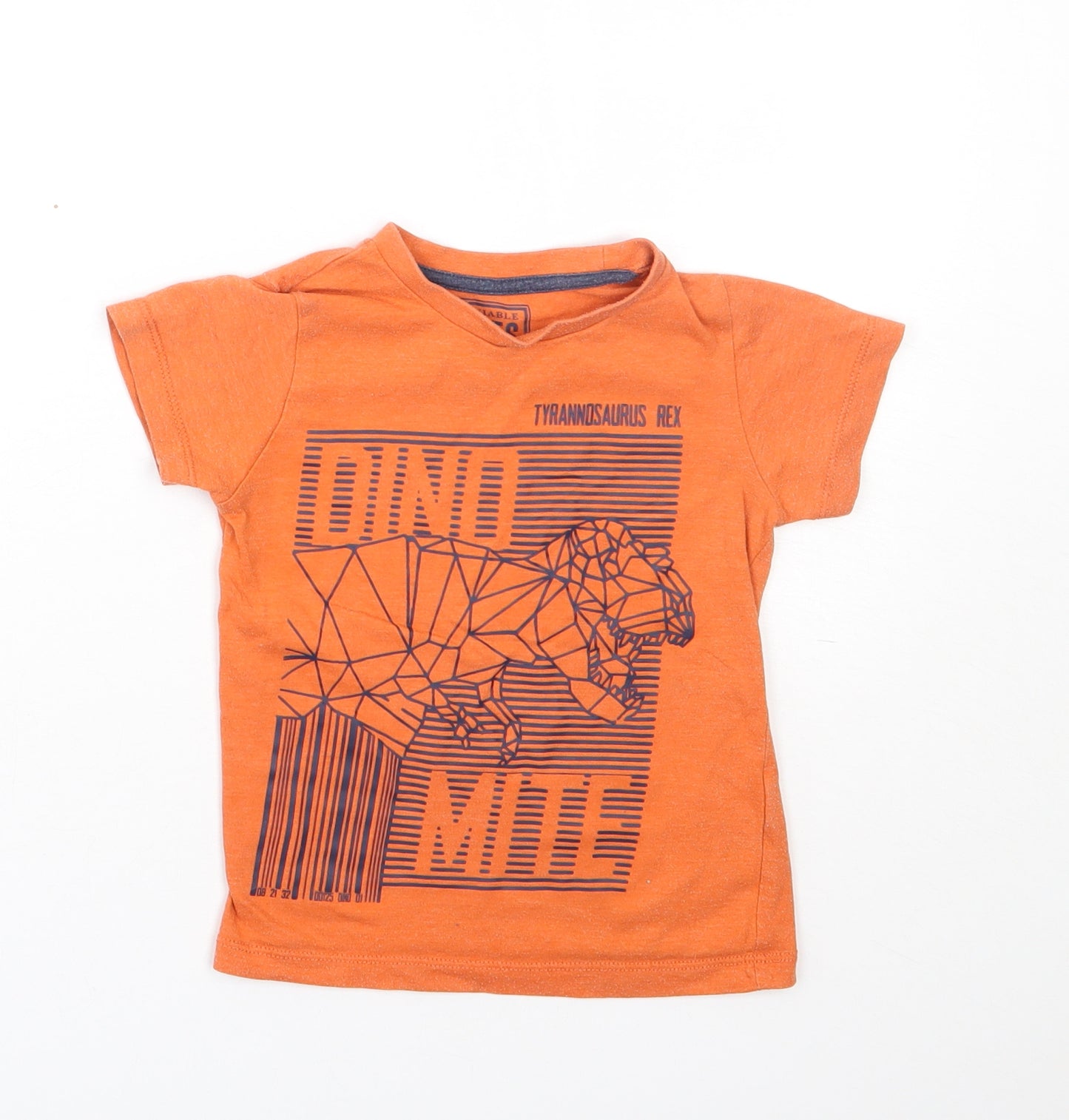 Matalan Boys Orange  Polyester Basic T-Shirt Size 4 Years Round Neck  - Dinosaur
