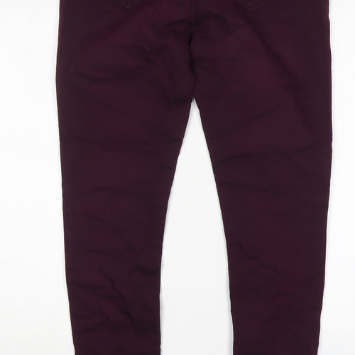 Dorothy Perkins Womens Purple  Cotton Jegging Jeans Size 12 L30 in Regular