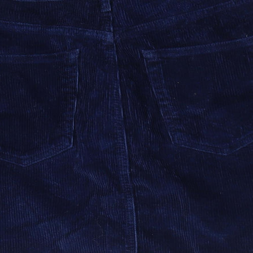 TRF Collection ZARA Womens Blue  Cotton A-Line Skirt Size L    - Cord
