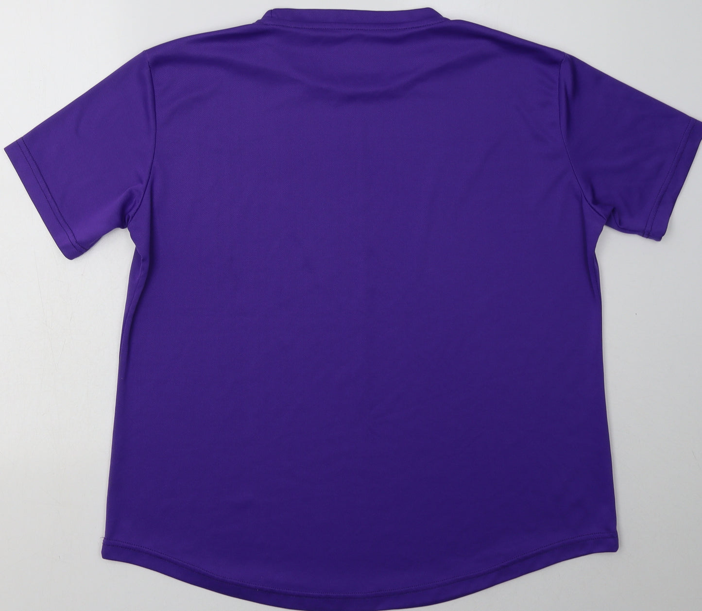 sportswear Womens Purple  Polyester Basic T-Shirt Size 20 Crew Neck Pullover