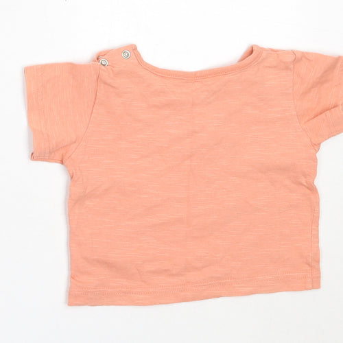 Marks and Spencer Girls Orange  Cotton Basic T-Shirt Size 6-9 Months Round Neck