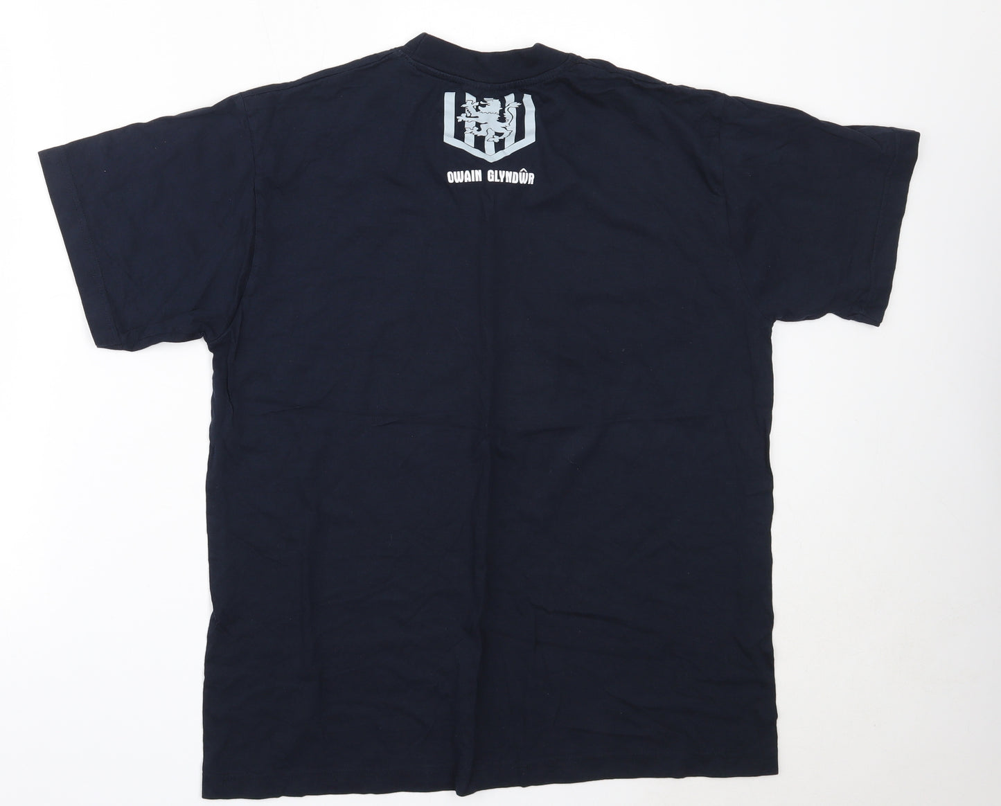 Preworn Mens Blue  Cotton  T-Shirt Size L Round Neck