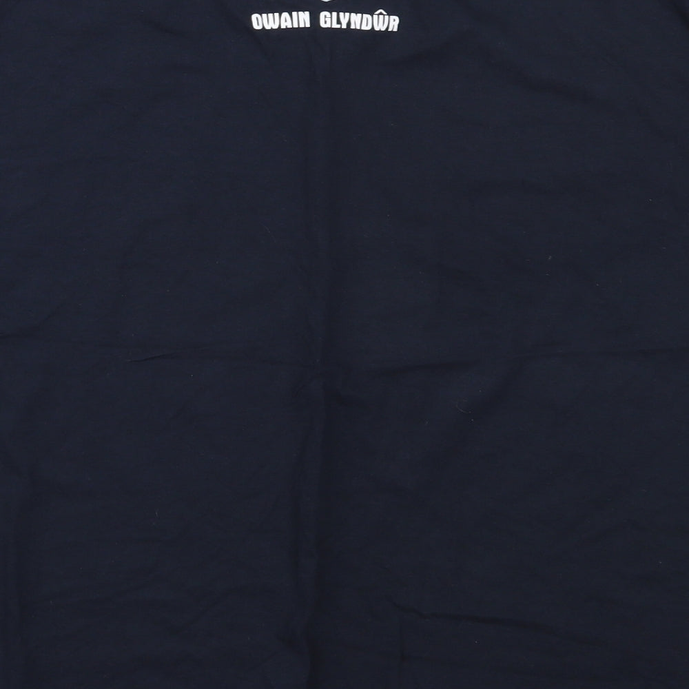 Preworn Mens Blue  Cotton  T-Shirt Size L Round Neck